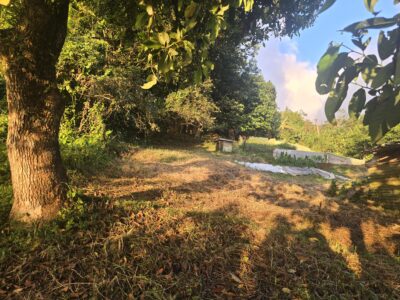 Giraudel - Lot 2 - 5,810 sq ft - $69,720 - Land