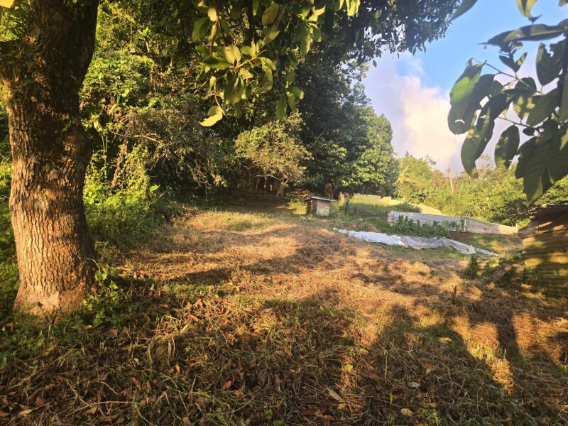 Giraudel - Lot 2 - 5,810 sq ft - $69,720 - Land