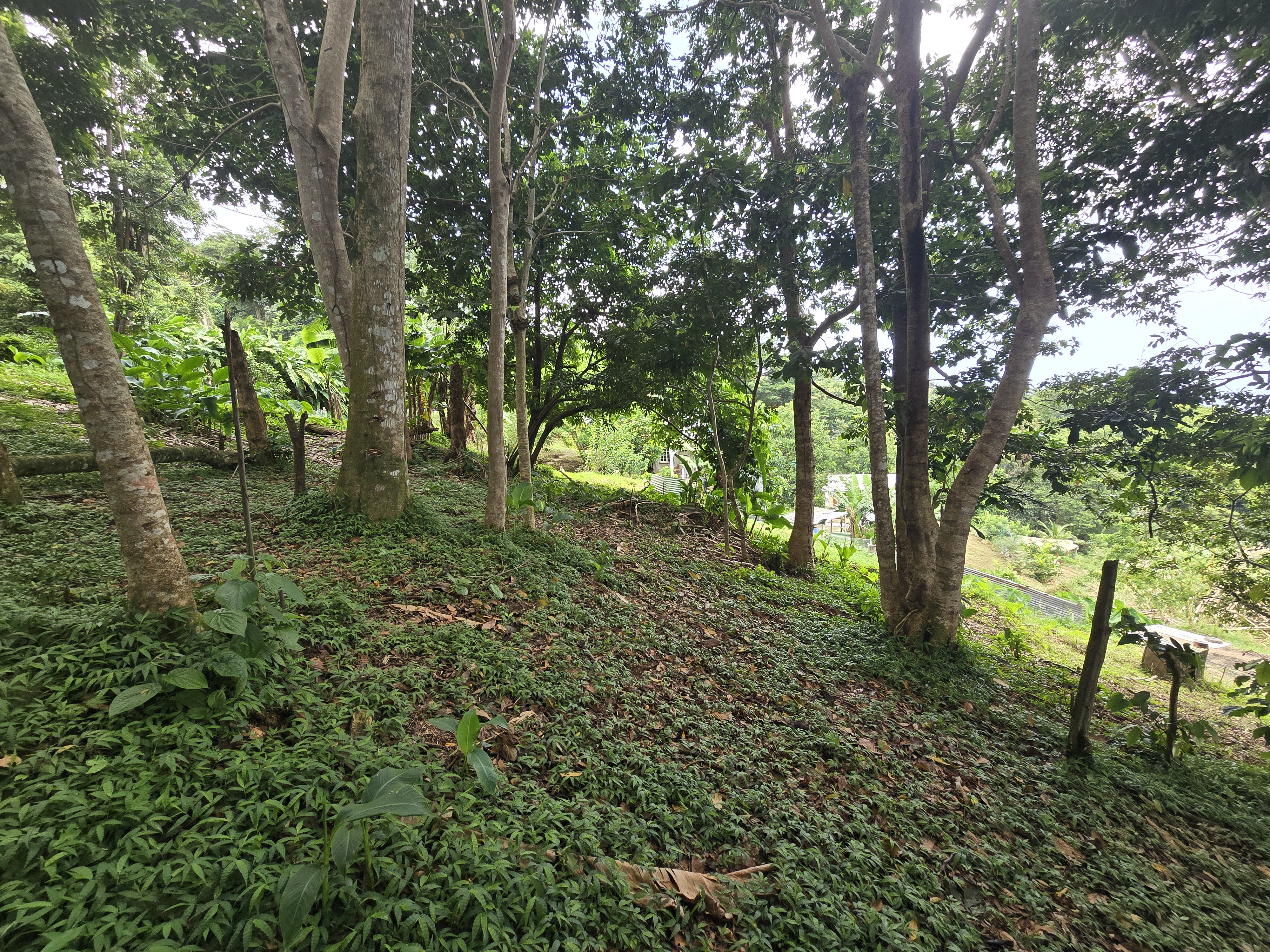 Giraudel - Lot 2 - 5,810 sq ft - $69,720 - Land