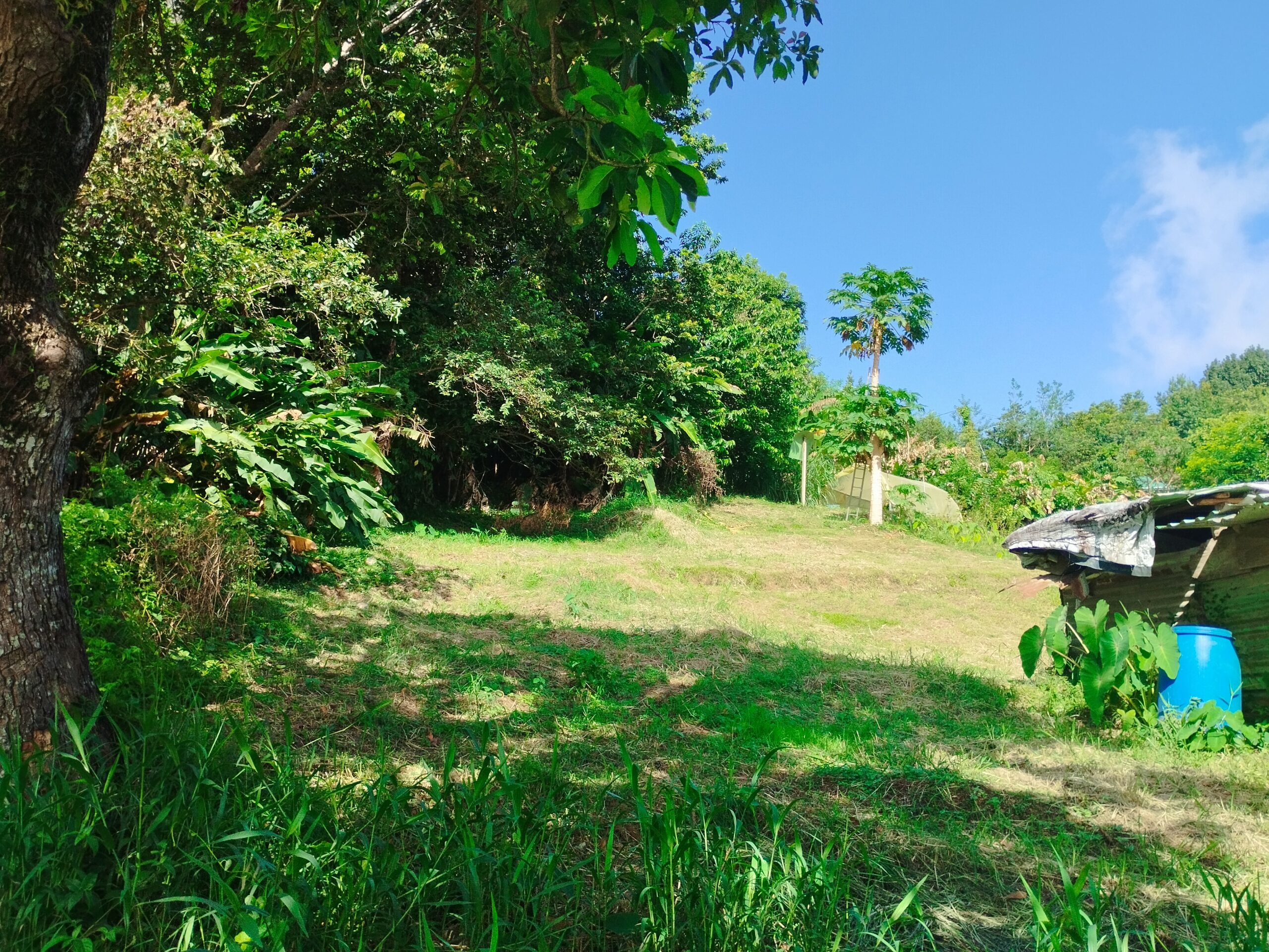 Giraudel - Lot 1 - 7,191 sq ft - $71,190