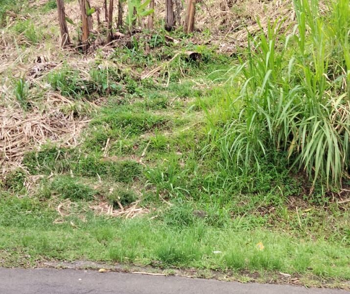 One Acre of land along the Main Road at Belles