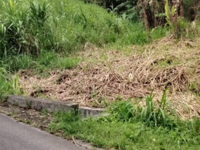 One Acre of land along the Main Road at Belles
