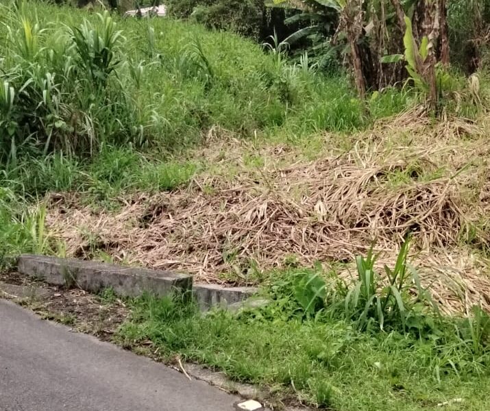 One Acre of land along the Main Road at Belles