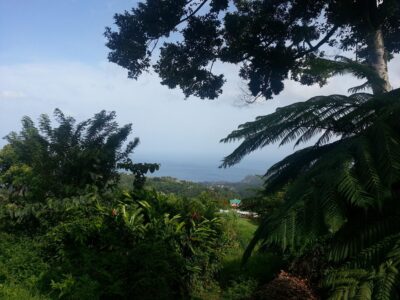 Giraudel - Lot 2 - 5,810 sq ft - $69,720