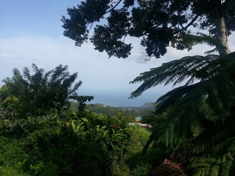 Giraudel - Lot 2 - 5,810 sq ft - $69,720