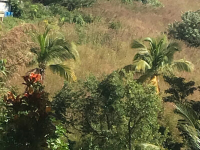 LAND for SALE - 17,750 sq ft - $213,000 - Warner