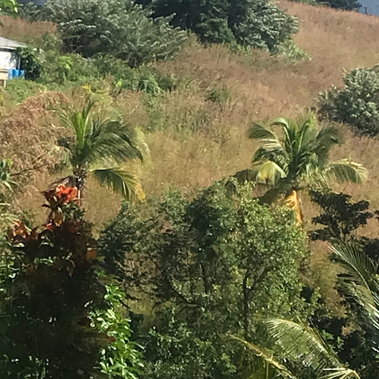 LAND for SALE - 17,750 sq ft - $213,000 - Warner