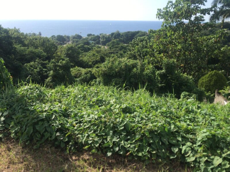 LAND for SALE - 19,321 sq ft - $270,494 - Belfast