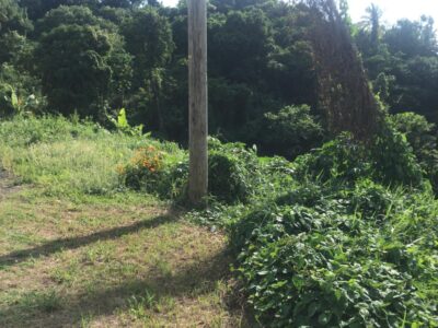 LAND for SALE - 19,321 sq ft - $270,494 - Belfast