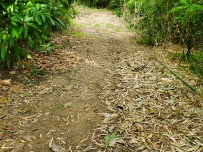 Land for sale- 6738 sq feet