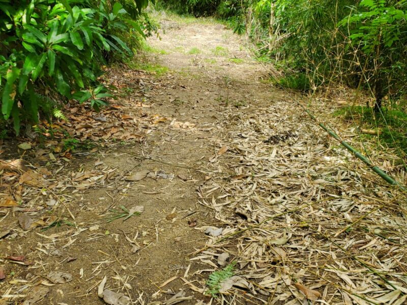Land for sale- 6738 sq feet
