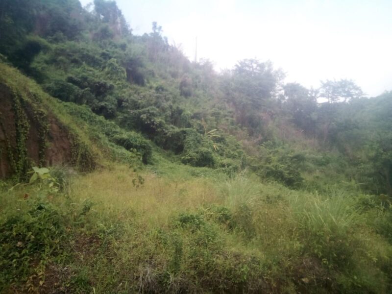 Land for sale- 6738 sq feet