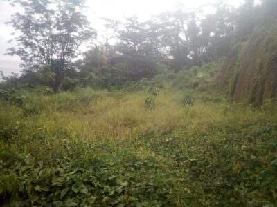 Land for sale- 6738 sq feet