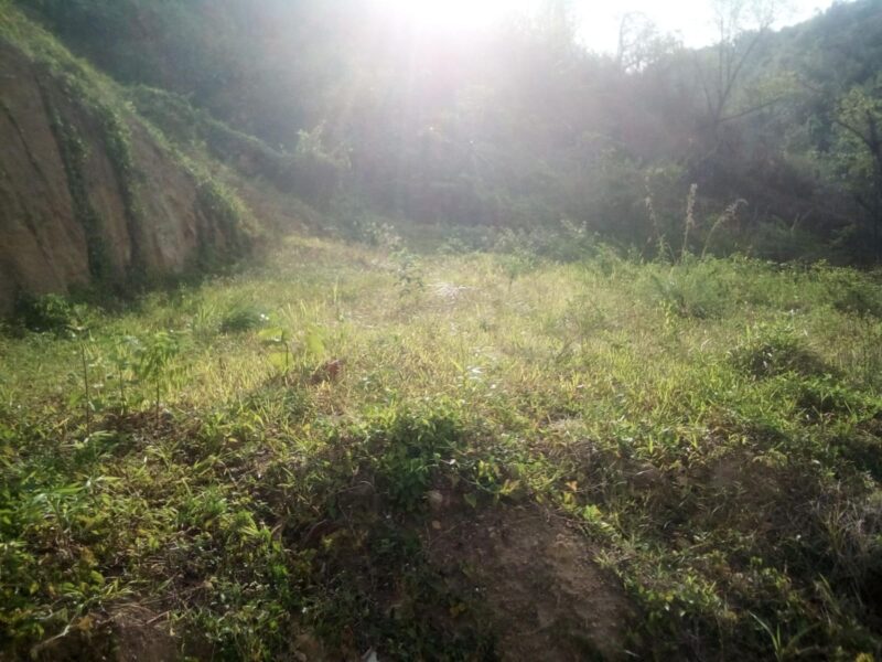 Land for sale- 6738 sq feet