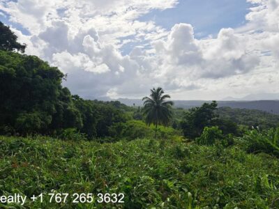 49005 sq ft in Marigot