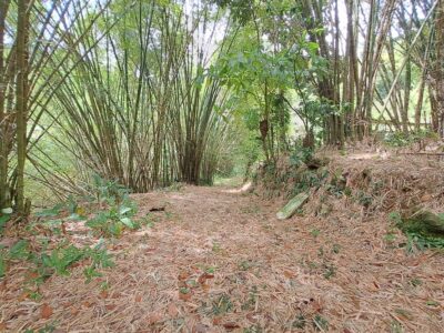 5-Acres of land for eco-development for Sale