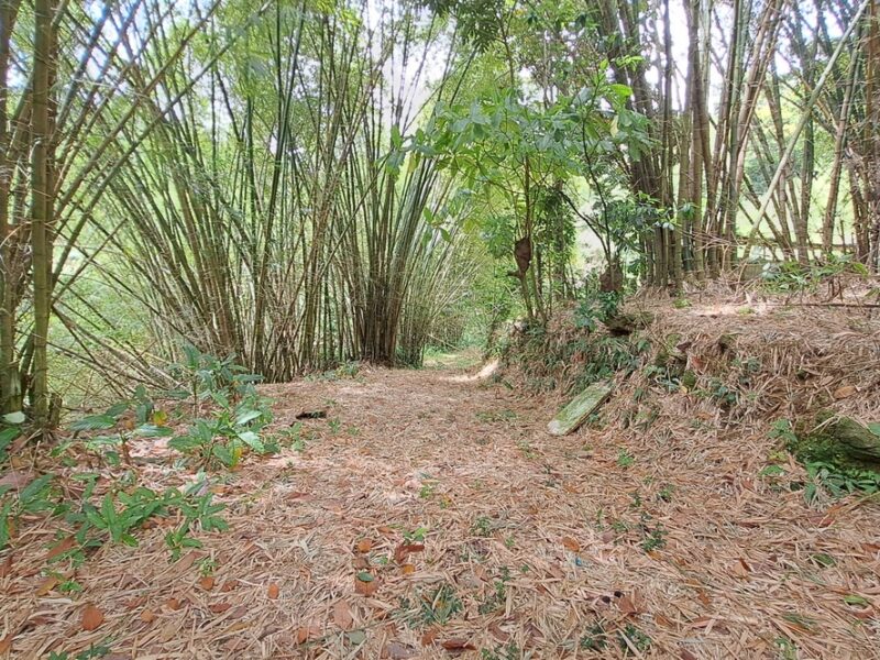 5-Acres of land for eco-development for Sale