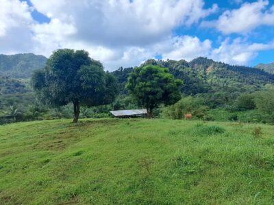 2.14 Acres of Prime Real Estate