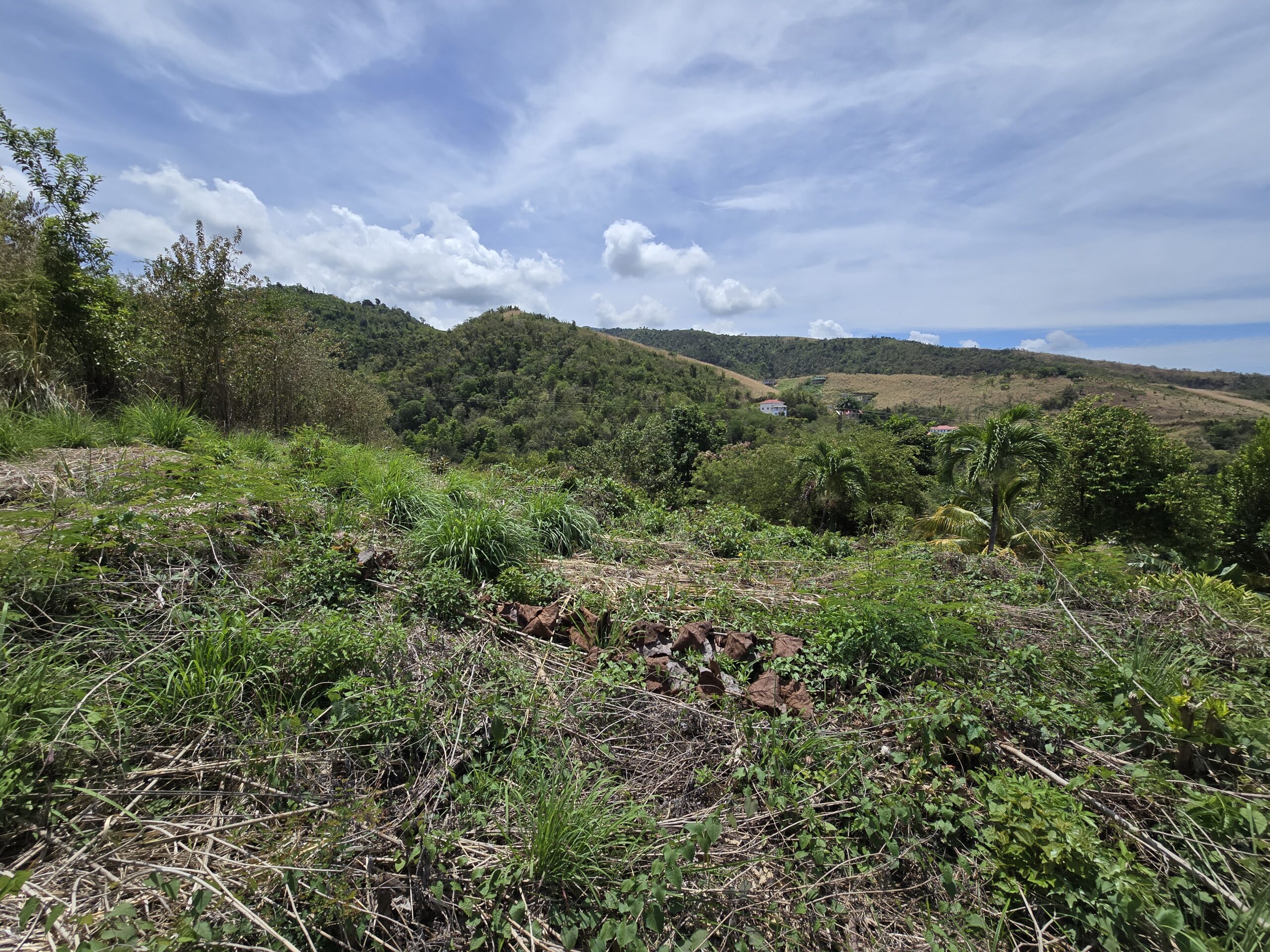 $207,306 land in Belfast
