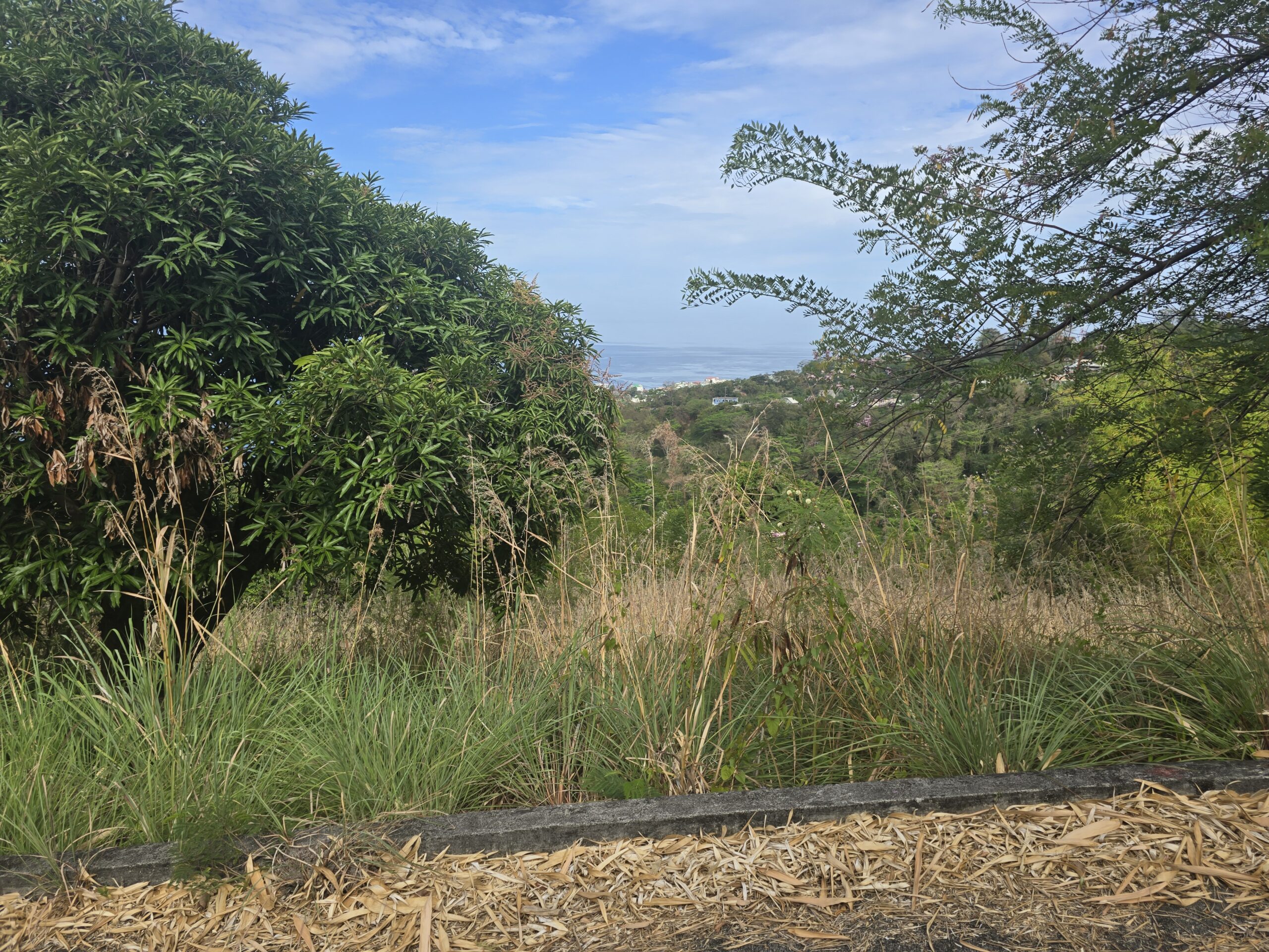 Dream Homesite for Sale - Lot 12, Fortune Residential Development