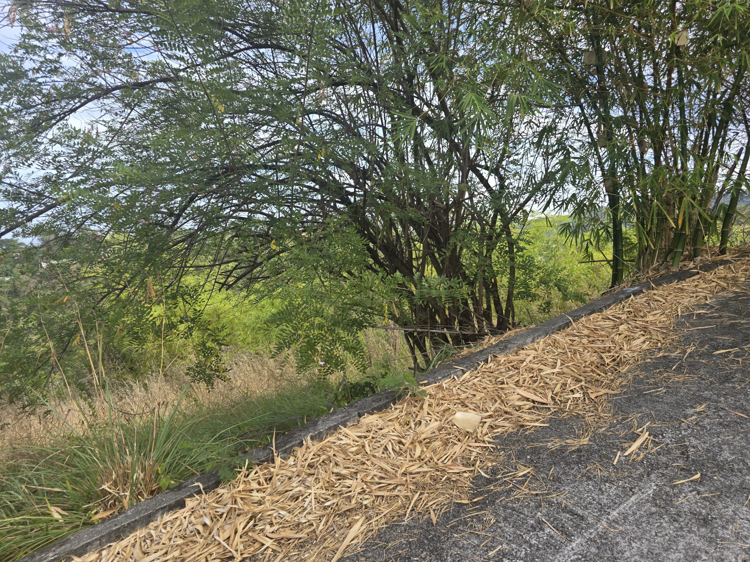 Dream Homesite for Sale - Lot 12, Fortune Residential Development