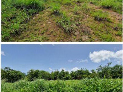10 Acres-Picard Portsmouth-$3.5 million