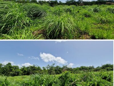 10 Acres-Picard Portsmouth-$3.5 million