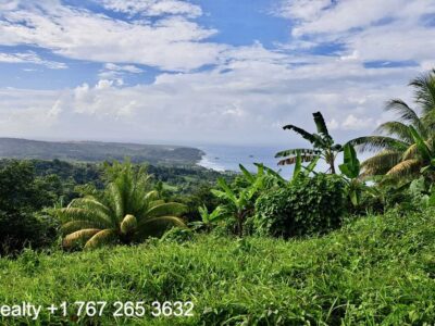 49005 sq ft in Marigot