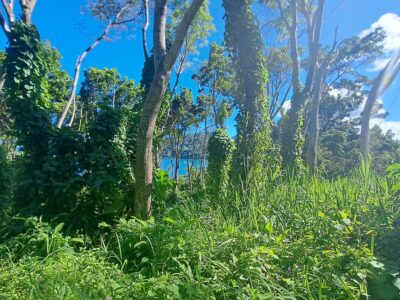 3.2-Acres for Sale