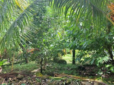 3-acre plot of land in Pichelin