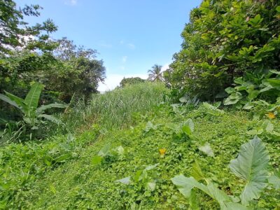 8700 sq ft House Lot - Marigot