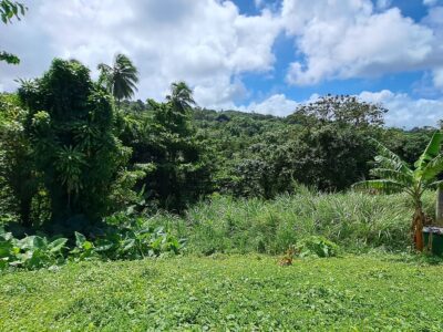 8700 sq ft House Lot - Marigot