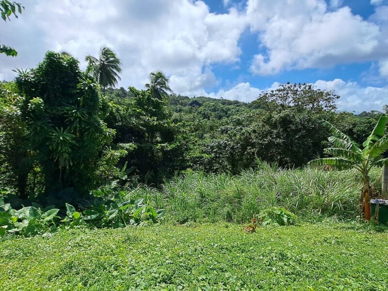 8700 sq ft House Lot - Marigot
