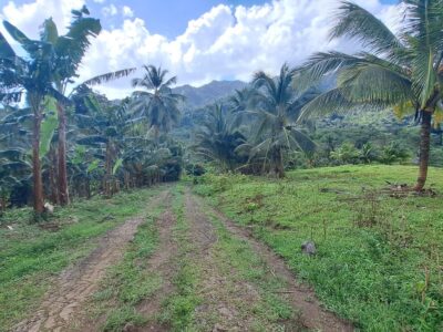 2.14 Acres of Prime Real Estate