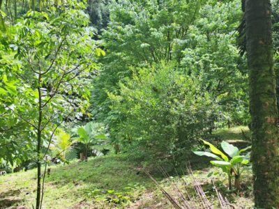 3-acre plot of land in Pichelin