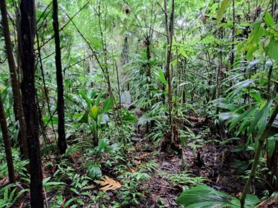 2 Acres - With Riverfront