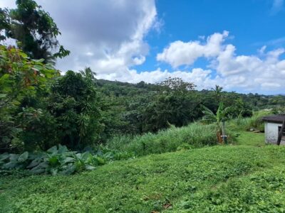 8700 sq ft House Lot - Marigot