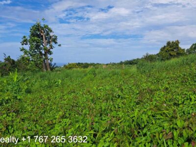 49005 sq ft in Marigot
