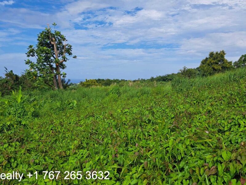 49005 sq ft in Marigot