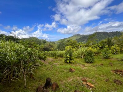 Ti Kwabyé Eco Kamp