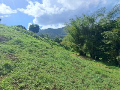 2.14 Acres of Prime Real Estate