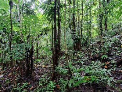 2 Acres - With Riverfront