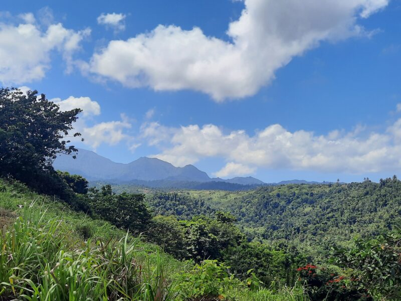 3.42-Acres for Sale