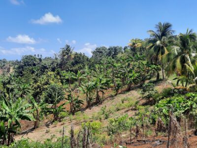3.42-Acres for Sale