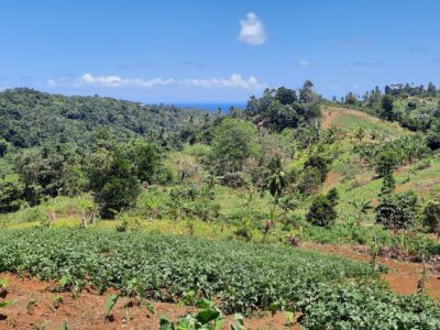 3.42-Acres for Sale