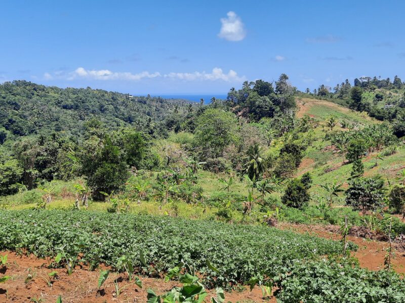 3.42-Acres for Sale