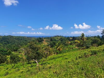 3.42-Acres for Sale