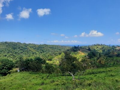 3.42-Acres for Sale