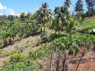 3.42-Acres for Sale