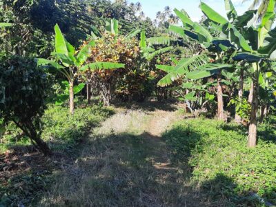 Cultivated Farm